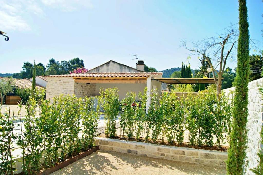 La Maison D'Angele Saint Remy De Provence Vila Exterior foto